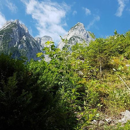 Gasthof Gosausee Luaran gambar
